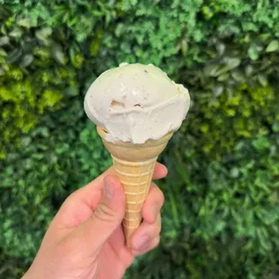 Honey Mascarpone Fig