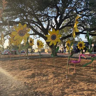 Outside Entrance Area