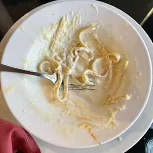 This is what was left over from the Fettuccine Alfredo.