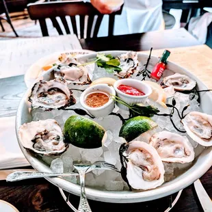 Oysters