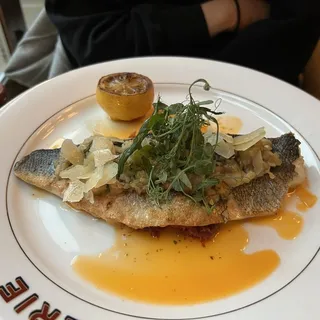 LOUP DE MER