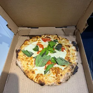 Margherita Pizza