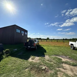 exterior shot of vineyard