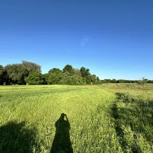 open field outside restroom