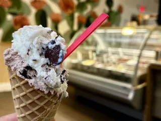 uGOgelato