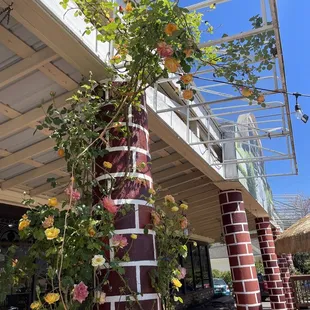 Patio terrace caught my eye on the way in!