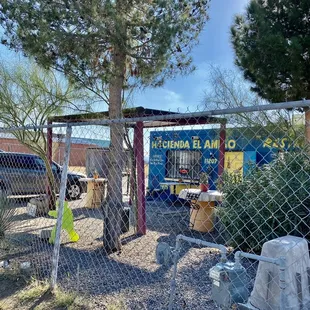 What it looks outside