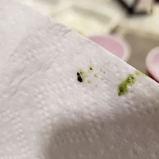 Tallarin with a side of baby roach