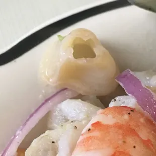 Old Calamaris, horrific!!!