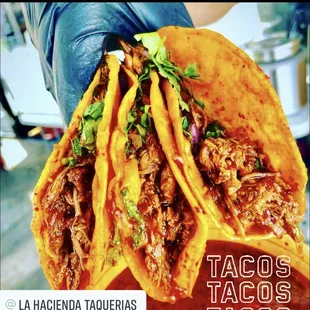 Birria Tacos