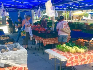UDC Farmer's Market