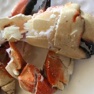 Stone Crab