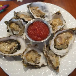 Oysters on the Half Shell