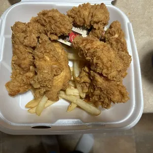 5 pc chicken tenders with fries