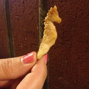 Sea horse chicken! :-)