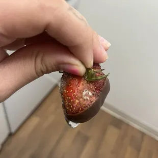 a hand holding a chocolate covered strawberry