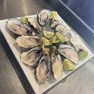 Oysters