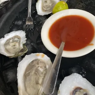 Amazing, fresh, Oysters!