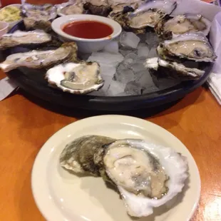 Louisiana oysters... They were huge and delicious!