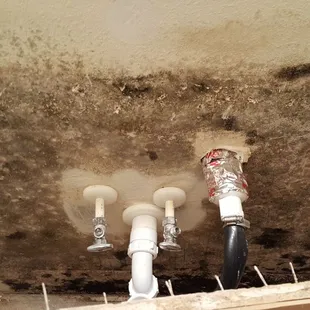 La Joya Bay Resort MOLD