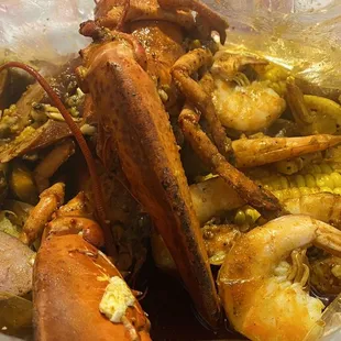 Whole live Lobster, shrimp and clams
