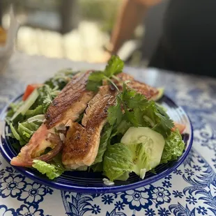 Salmon salad. Very large salad