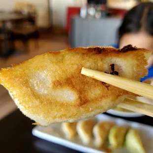 Fried cabbage/meat dumpling