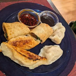 Pan Fried Pork Dumplings
