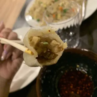 Vegetarian Dumplings