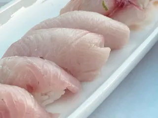 Studio Sushi