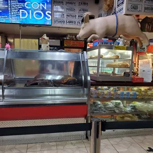 a dog in a deli