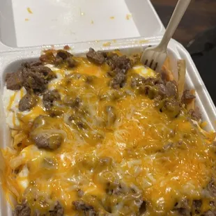 Carne asada fries