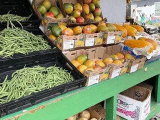 El Chico Produce No 2