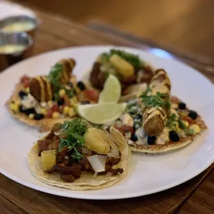 Carnitas Tacos and Fried Avocado Tacos