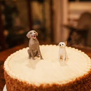 Groom's cake with fur babies on top!