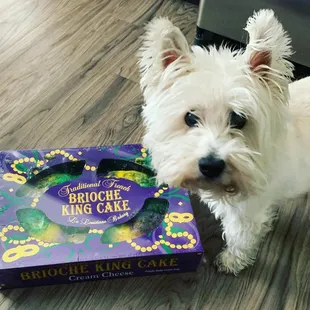 Even Toby is excited!