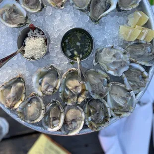 Happy hour oysters