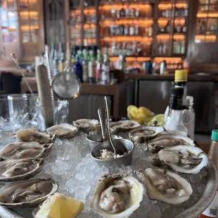 Oysters on the half shell