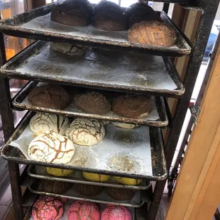 Fresh pan