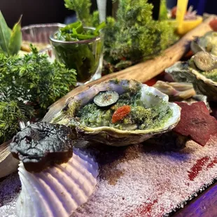 oysters on the half shell