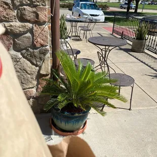 Nice on a beautiful day
