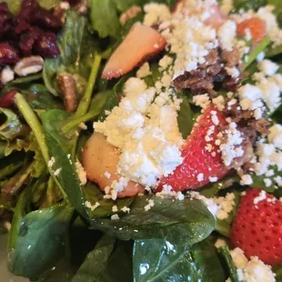 Strawberry Spinach Bacon Salade and Cranberry Pecan Wild Field Salade