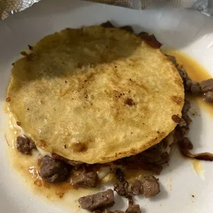 &quot;Quesadilla?&quot;