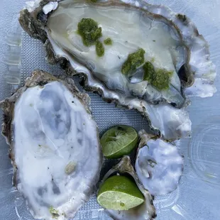 three oysters on a plate