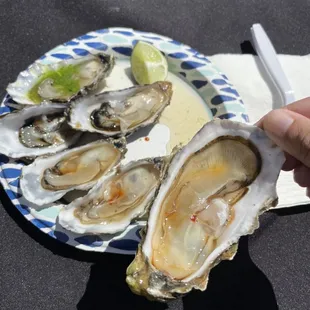 Miyagi Oyster