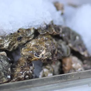 donuts, food, dough desserts