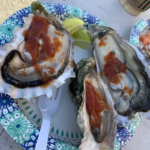 Fresh oysters!! $7 for 3.