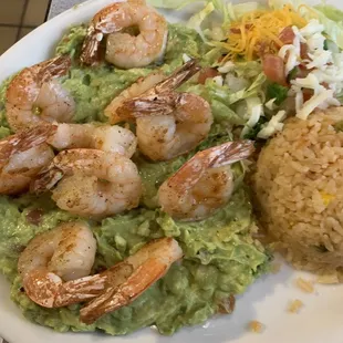 Shrimp