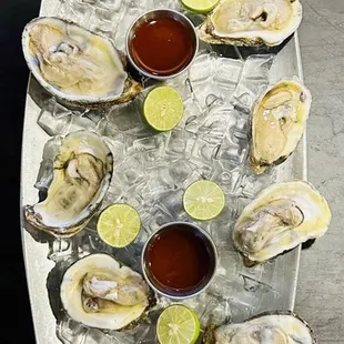 Ostiones En Su Concha - one dozen