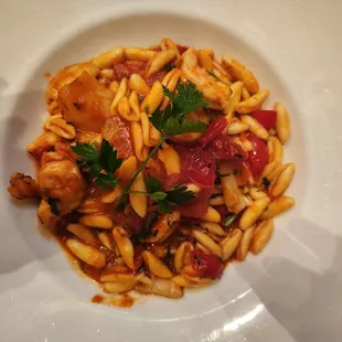 Special of the Day: Orechiette Pasta w/Scallops &amp; Shrimp yummers!